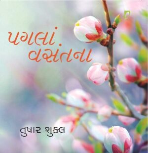 Pagala Vasantna Gujarati Book