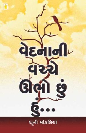 Vedna Ni Vachhe Ubho Chhu Hu Gujarati Book