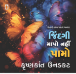Jindagi Mapo Nahi Pamo Gujarati Book